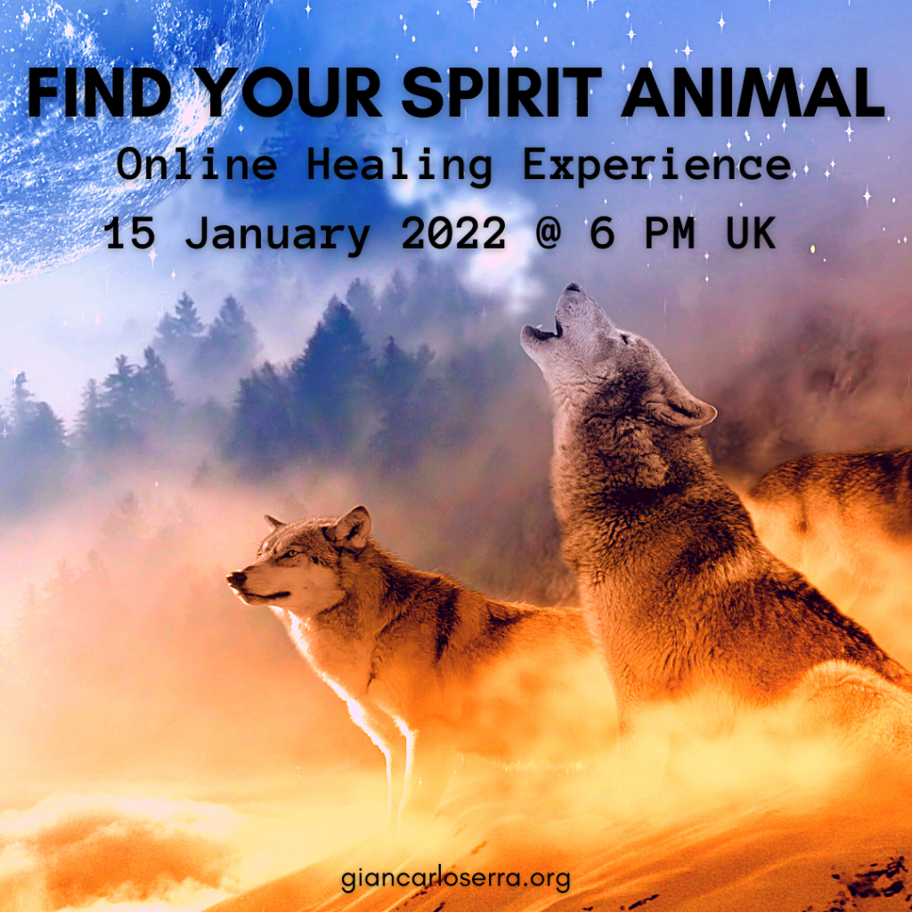 FIND YOUR SPIRIT ANIMAL