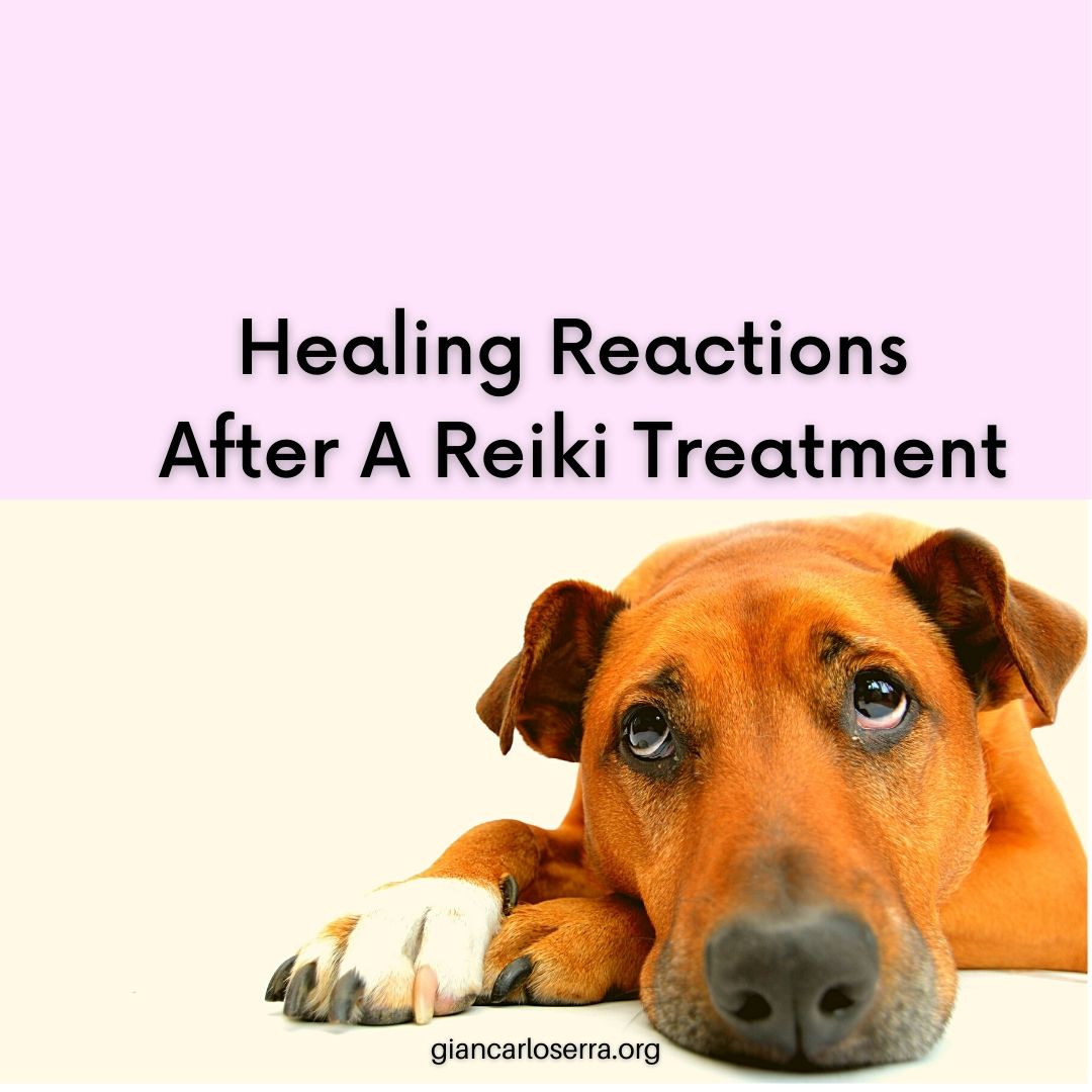 Healing Reactions After A Reiki Treatment