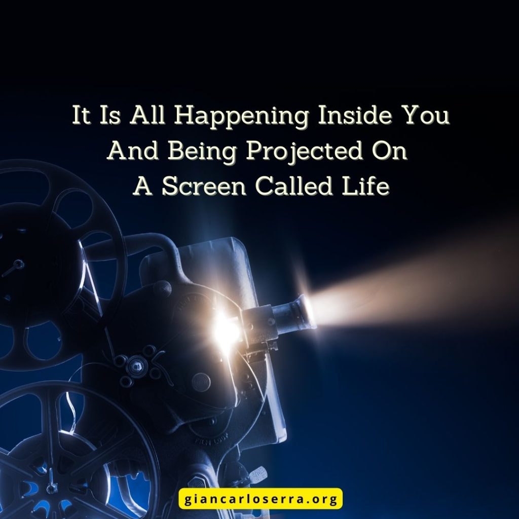The screen of life