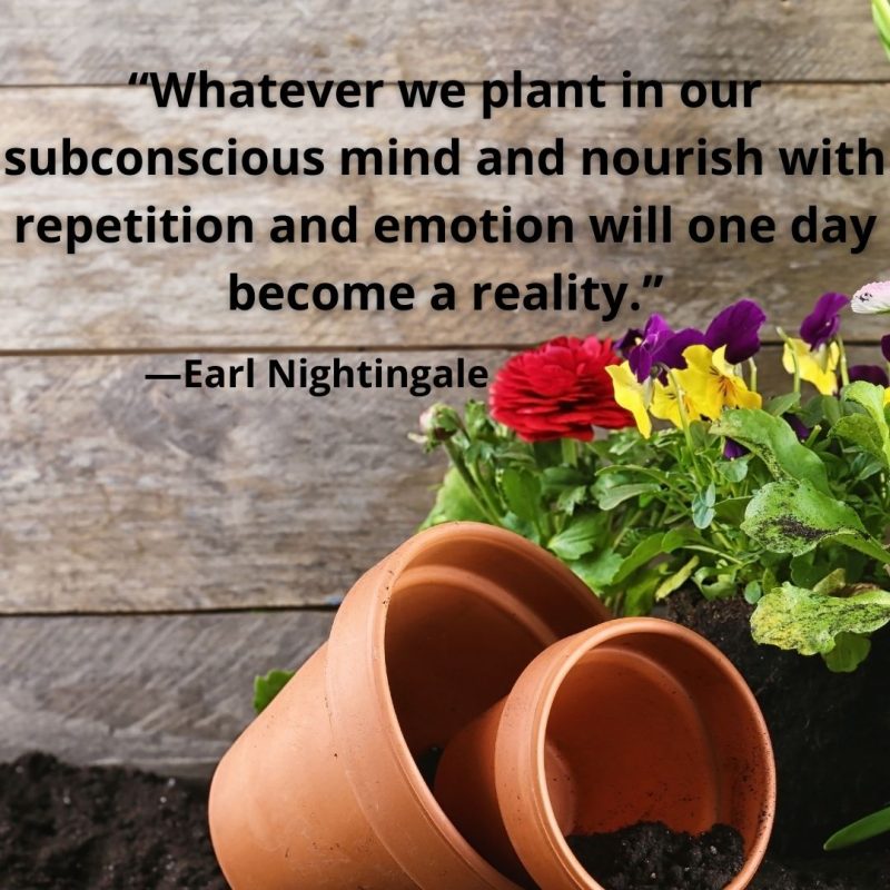 You are the gardener of your mind