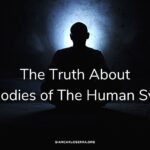 THe Truth about the bodies of the human system